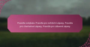 featured-image-pravidla-volejbalu-pravidla-pro-ehibicni-zapasy-pravidla-pro-charitativni-zapasy-pravidla-pro-zabavne-zapasy